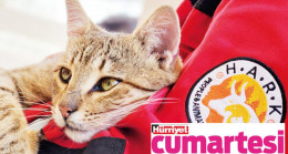 Bir anlık heves onlara da zarar