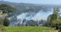 Osmaniye’de orman yangını: Havadan ve karadan müdahale ediliyor