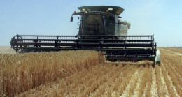 Tahıl anlaşması devam edecek mi? Rusya Dışişleri Bakanlığı’ndan açıklama – Son Dakika Dünya Haberleri