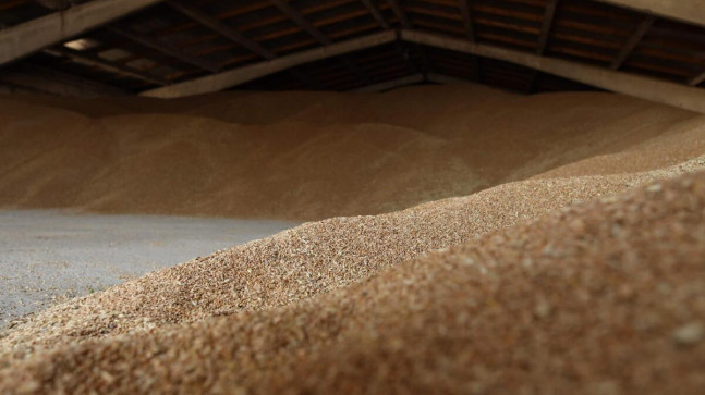 Rusyanın tahıl anlaşmasından çekilmesinin ardından yükselen fiyatlar tehlike arz ediyor