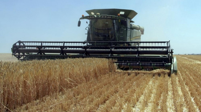 Tahıl anlaşması devam edecek mi? Rusya Dışişleri Bakanlığı’ndan açıklama – Son Dakika Dünya Haberleri