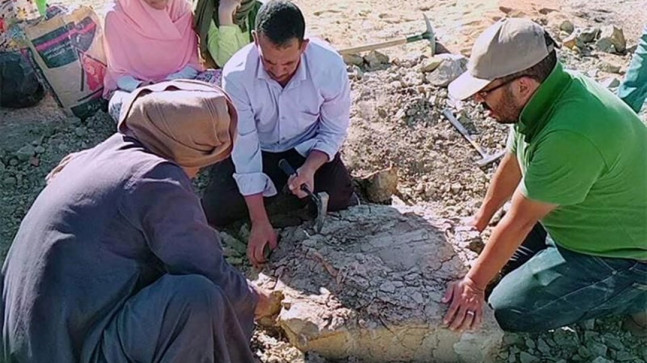 Mısır’da 70 milyon yıllık kaplumbağa fosili bulundu