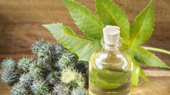 Hint yağı faydaları nelerdir? Hint Yağı Hangi Hastalıklara Faydası Vardır?