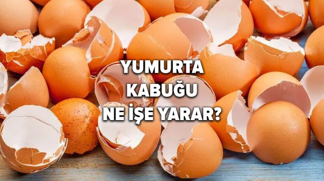 Yumurta kabuğu ne işe yarar? İşte pek de bilinmeyen “yumurta kabuğu faydaları”