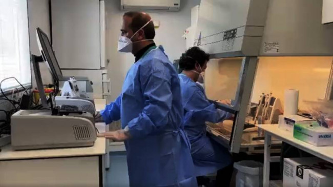 Hatay’da moleküler testlerle salgın hastalık olup olmadığı takip ediliyor