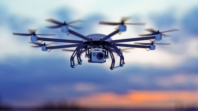 Ölü kuşları drone olarak dolduracaklar – Son Dakika Teknoloji Haberleri