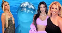 Yunusların Kim Kardashian, Paris Hilton ve Britney Spears ile ortak bir özelliği keşfedildi