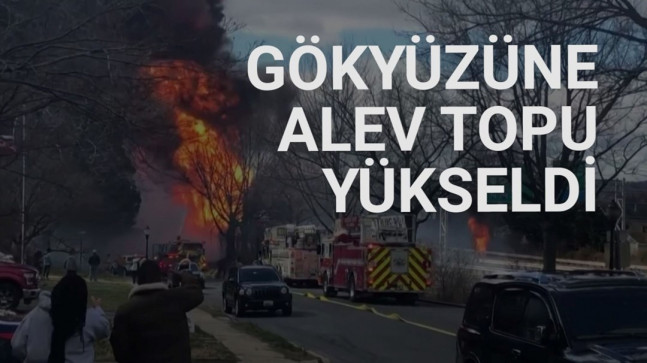 ABD’de yakıt tankeri ağaca çarpıp patladı