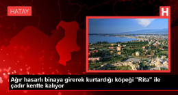 Ağır hasarlı binaya girerek kurtardığı köpeği “Rita” ile çadır kentte kalıyor