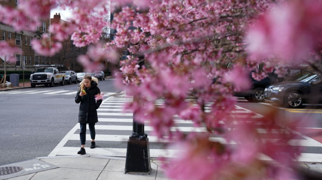 Avrupa’da en sıcak ikinci kış – Son Dakika Dünya Haberleri