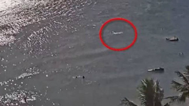 Kayıp Arjantinlinin kalıntıları köpek balığının karnında bulundu – Son Dakika Dünya Haberleri