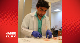 Sığır aort damarından 3D yazıcıyla doğal insan aort damarı