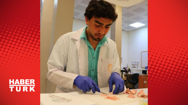 Sığır aort damarından 3D yazıcıyla doğal insan aort damarı