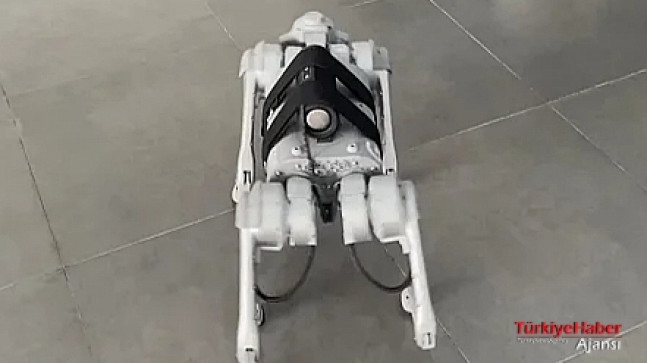 Robot Köpekler Asya Oyunları Gönüllüleri Arasına Katıldı – Dünya