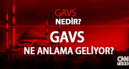 Gavs nedir, ne demek? TDK gavs kelimesi ne anlama geliyor?