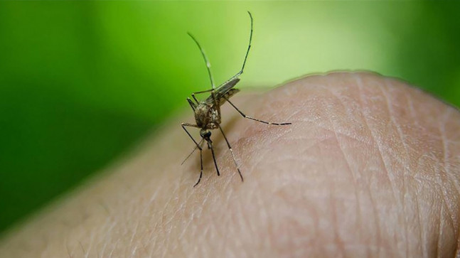 Sinsi hastalık yayılmaya devam ediyor, ülke alarmda! Can kaybı 398'e çıktı