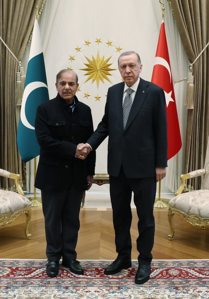 Cumhurbaşkanı Erdoğan, Pakistan Başbakanı Şerif'i kabul etti #3