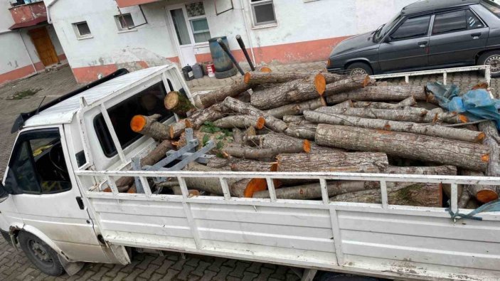Depremzedelere gönderilmek üzere kesilen odunları çaldılar #1