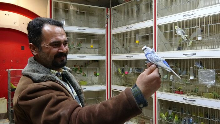 Deprem öncesi öten kuşların fiyatları yükseldi