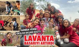 Lavanta başarıyı artırdı