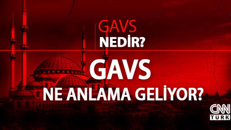 Gavs nedir, ne demek? TDK gavs kelimesi ne anlama geliyor?